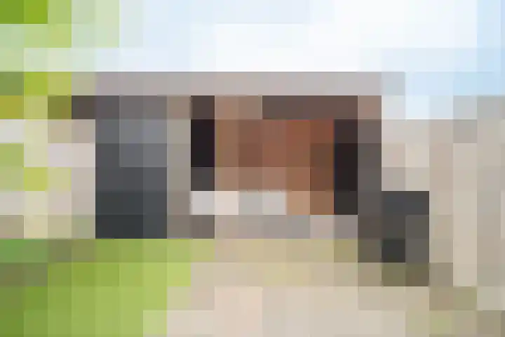 Hoofdmanstraat 15 Zeeland thumbnail 22