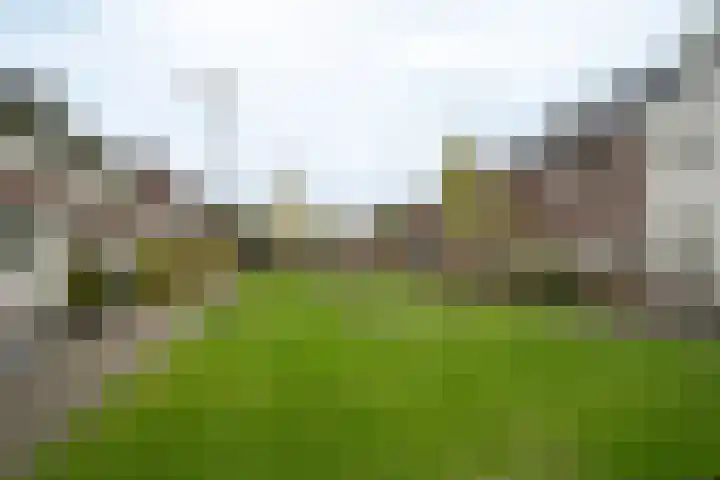 Hoofdmanstraat 15 Zeeland thumbnail 5