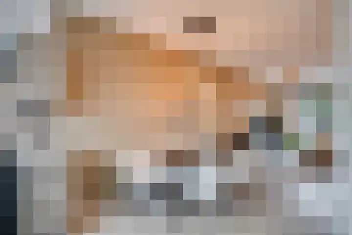 Hoofdmanstraat 15 Zeeland thumbnail 6