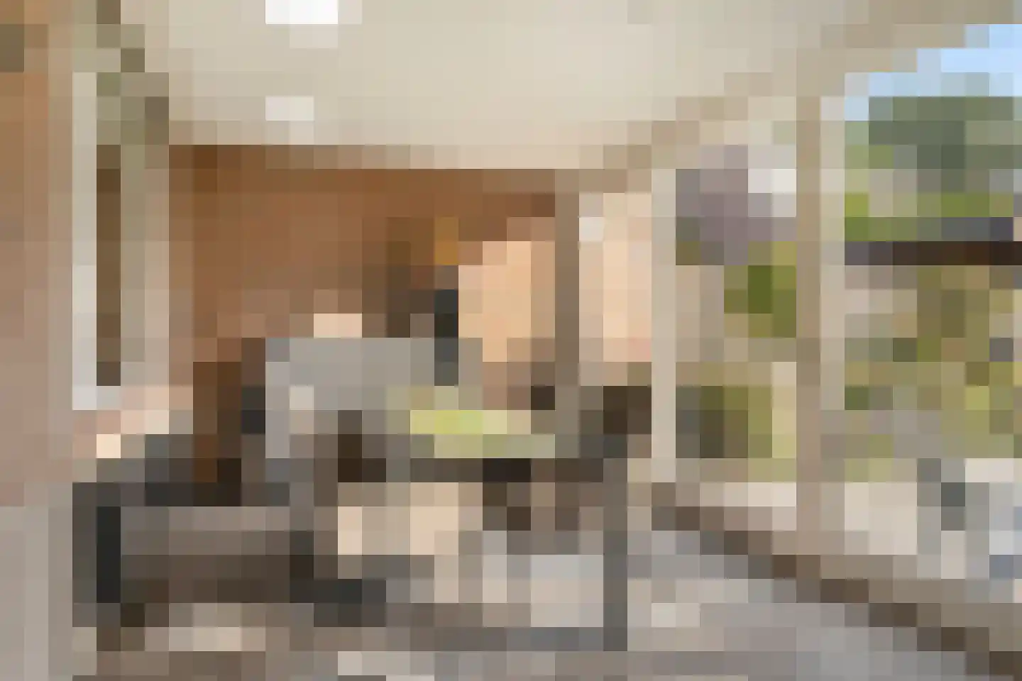 Hoofdmanweg 47 Loon op Zand thumbnail 16