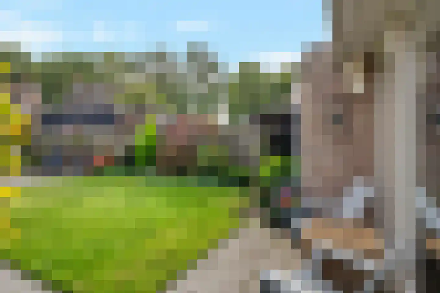 Hoofdmanweg 47 Loon op Zand thumbnail 29