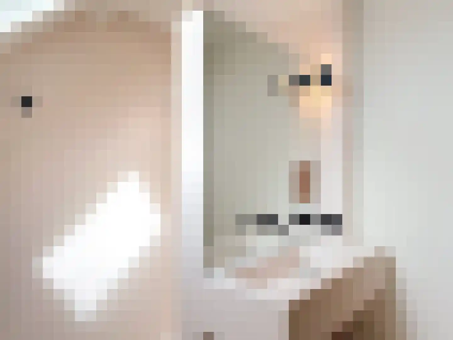 Hoofdplaatseweg 11 Breskens thumbnail 27