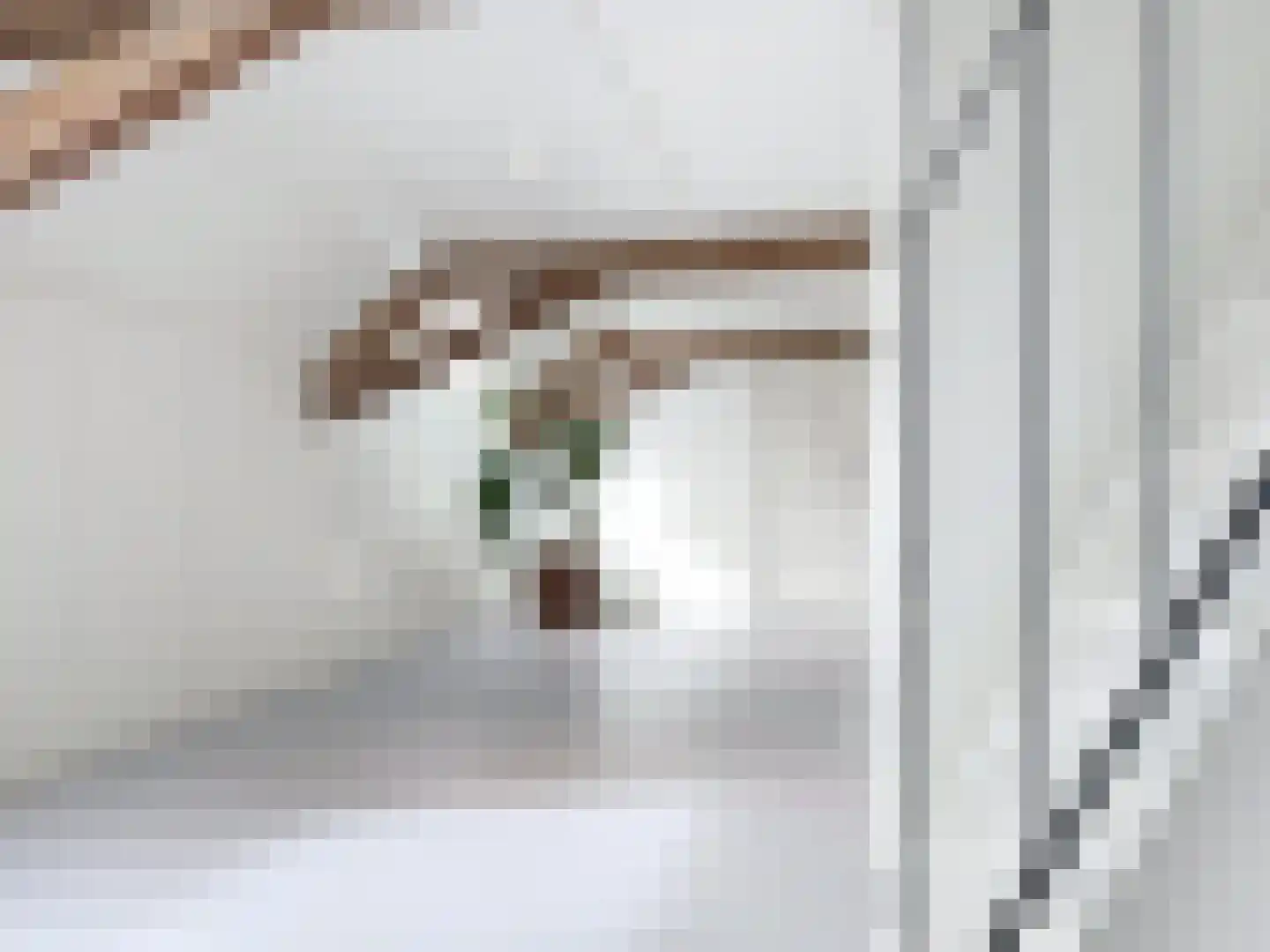 Hoofdplaatseweg 11 Breskens thumbnail 33