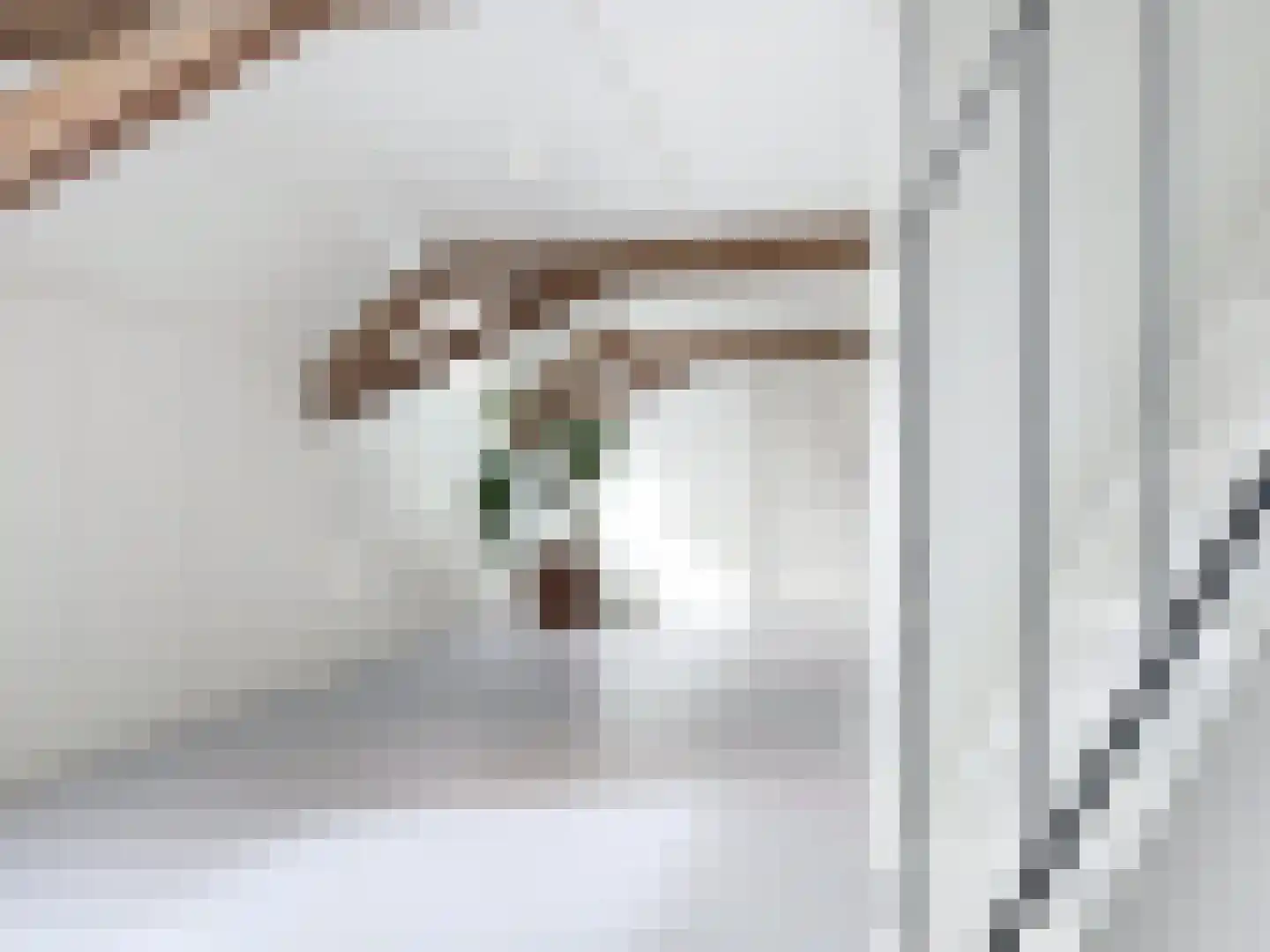 Hoofdplaatseweg 11 Breskens thumbnail 33