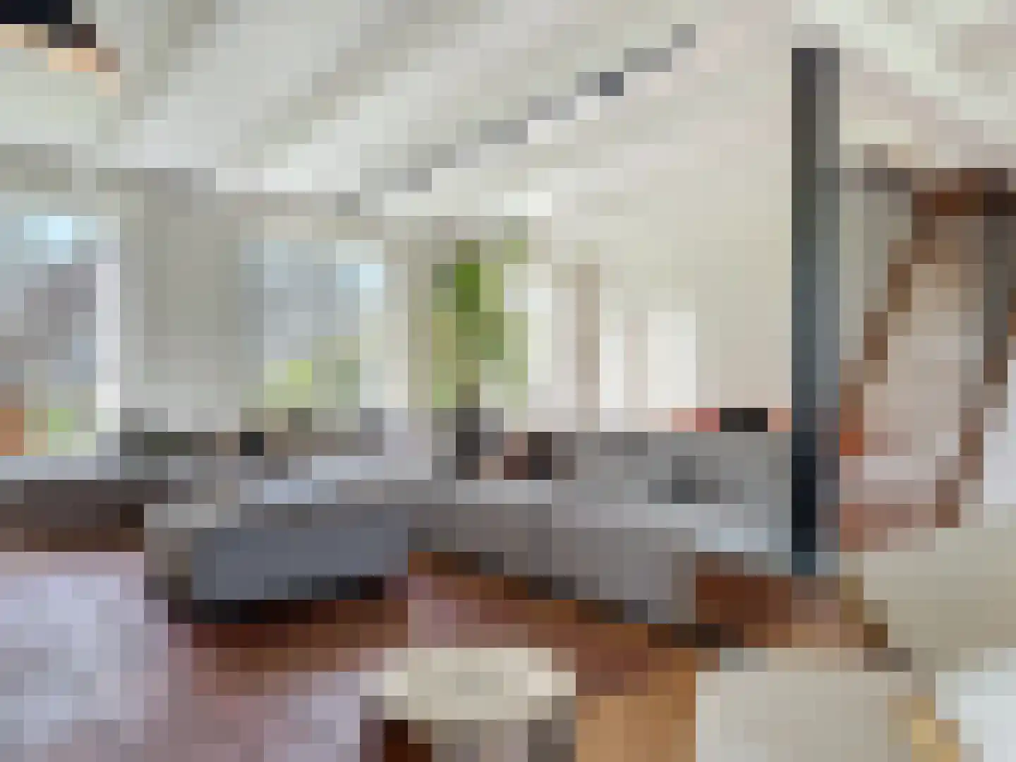 Hoofdplaatseweg 11 Breskens thumbnail 4