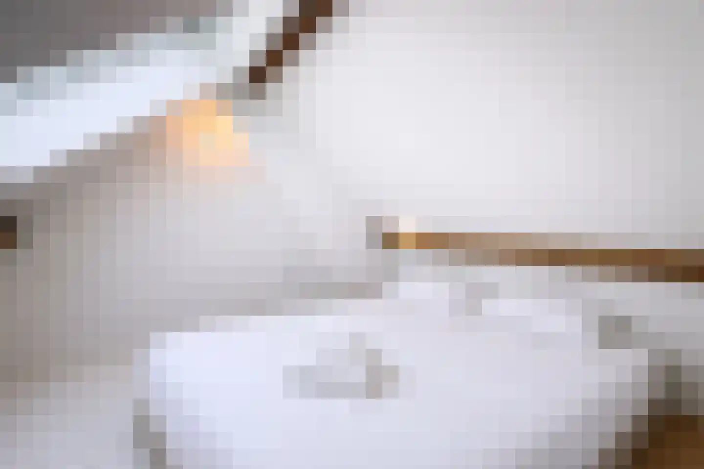 Hoofdplaatseweg 11 Breskens thumbnail 41