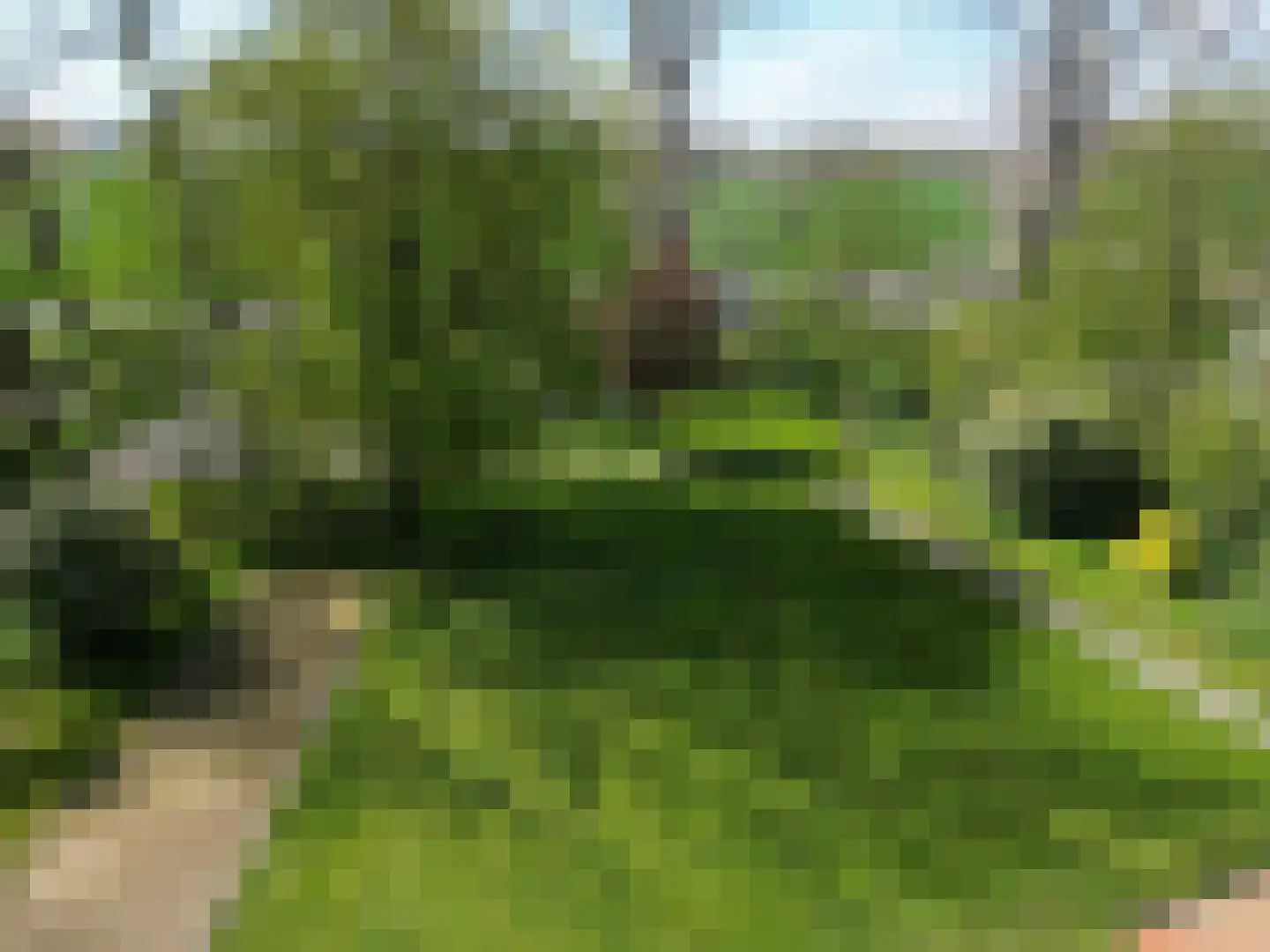 Hoofdplaatseweg 11 Breskens thumbnail 46