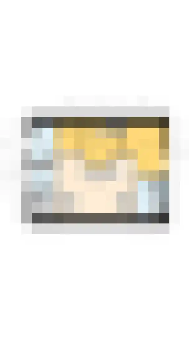 Hoofdplaatseweg 11 Breskens thumbnail 48