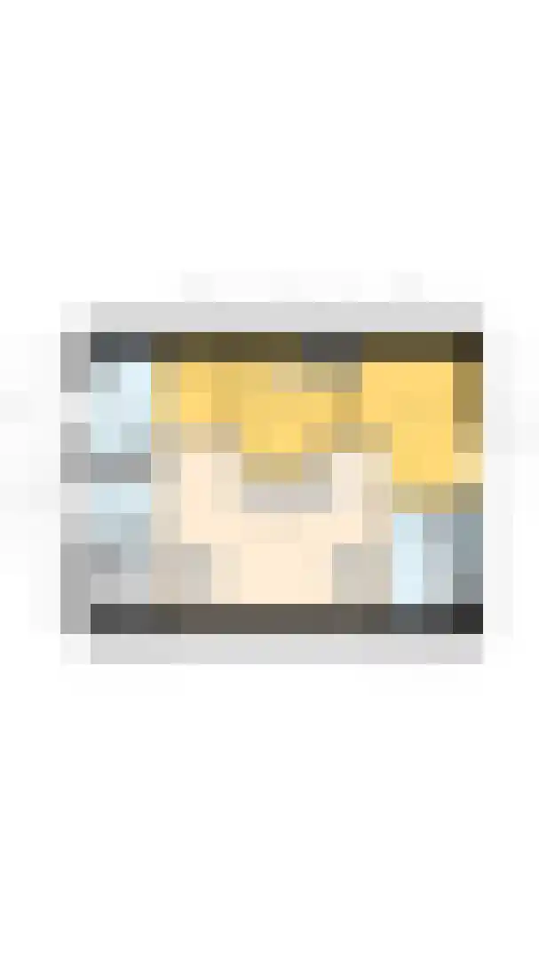 Hoofdplaatseweg 11 Breskens thumbnail 48