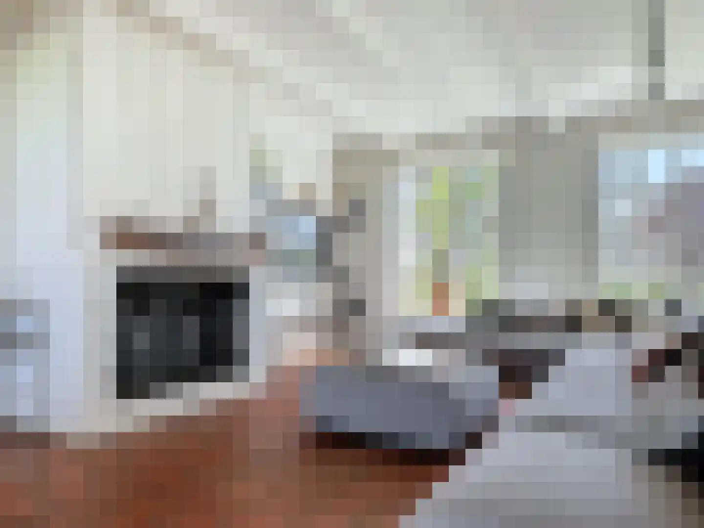 Hoofdplaatseweg 11 Breskens thumbnail 5