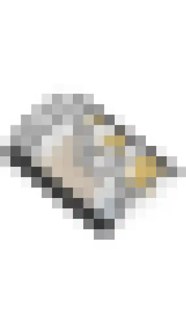 Hoofdplaatseweg 11 Breskens thumbnail 51