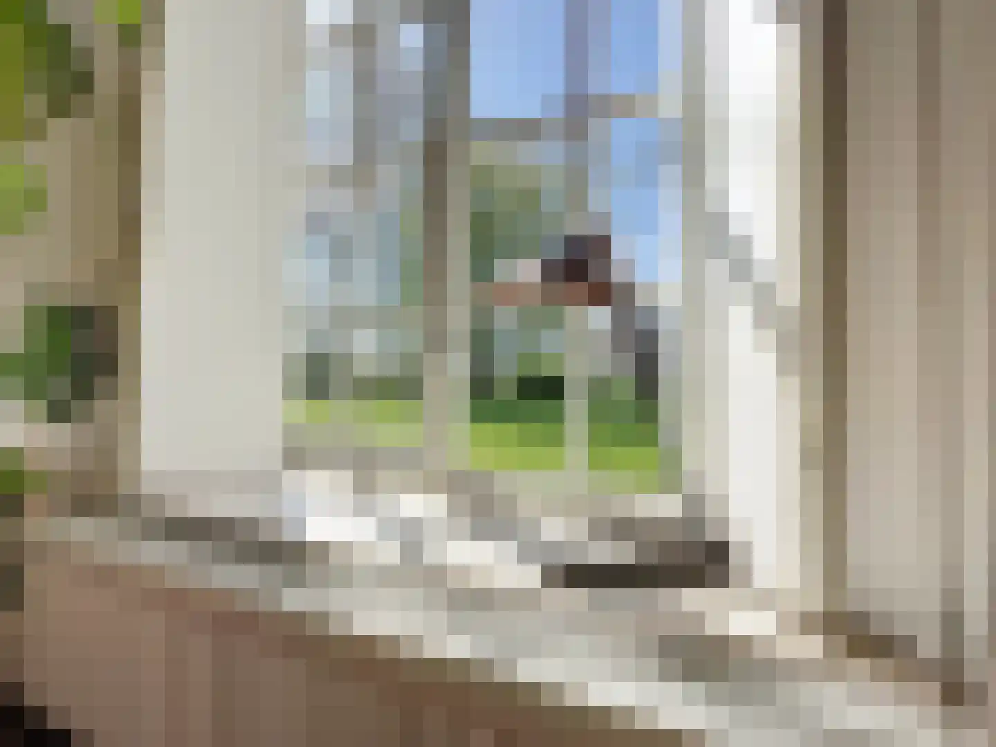 Hoofdplaatseweg 11 Breskens thumbnail 8