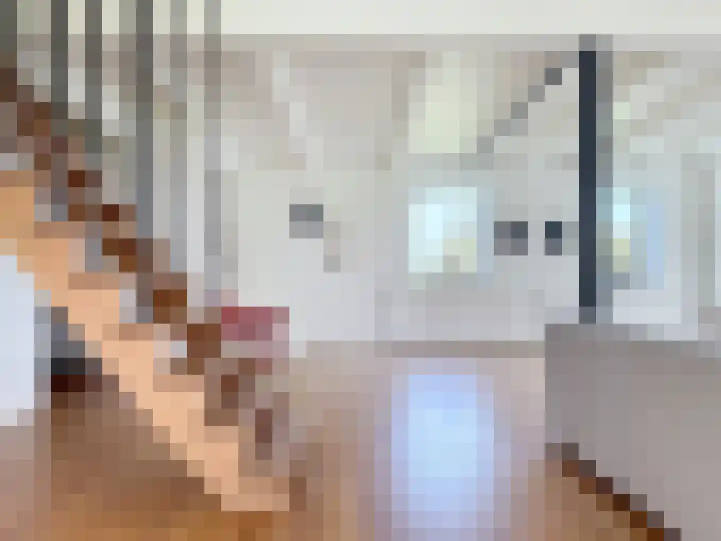 Hoofdplaatseweg 11 Breskens thumbnail 9