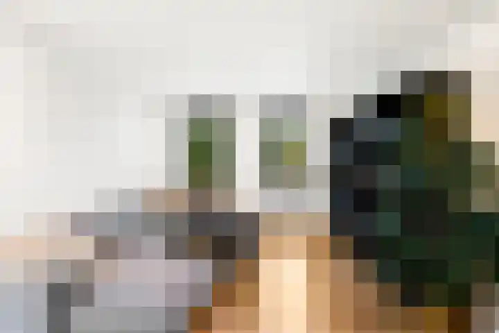 Hoofdplaatseweg 4 Biervliet thumbnail 10
