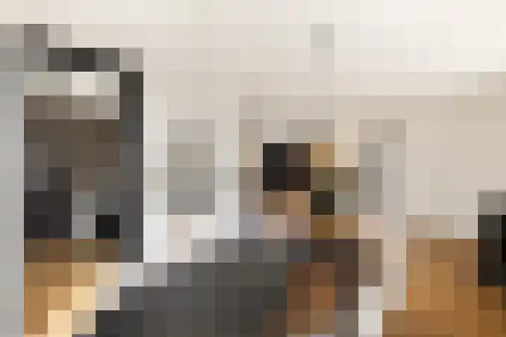 Hoofdplaatseweg 4 Biervliet thumbnail 13