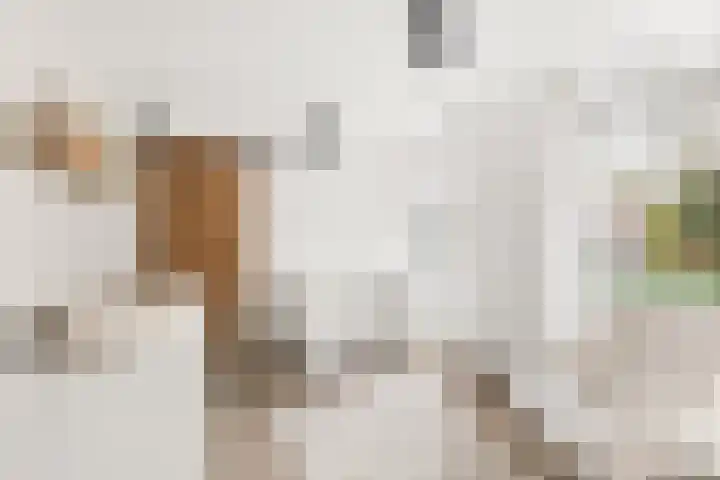 Hoofdplaatseweg 4 Biervliet thumbnail 30