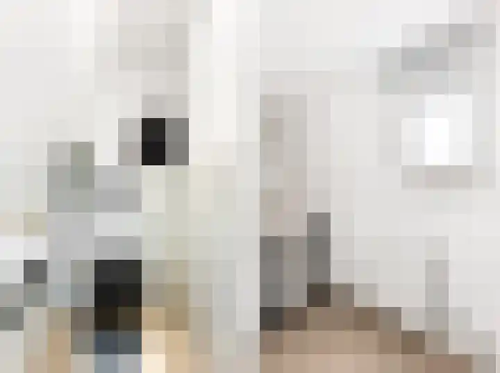 Hoofdplaatseweg 4 Biervliet thumbnail 32
