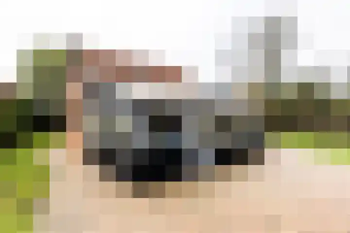 Hoofdplaatseweg 4 Biervliet thumbnail 33