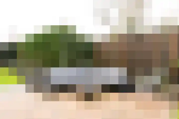 Hoofdplaatseweg 4 Biervliet thumbnail 36