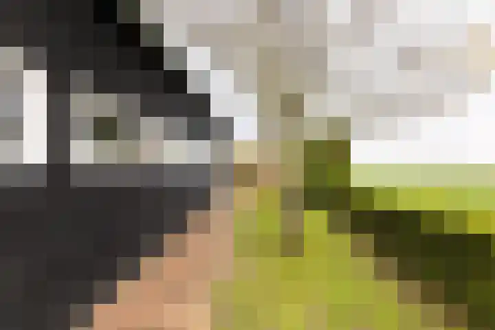 Hoofdplaatseweg 4 Biervliet thumbnail 41
