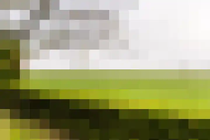 Hoofdplaatseweg 4 Biervliet thumbnail 42