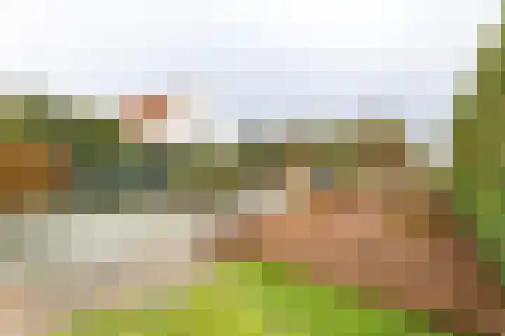 Hoofdplaatseweg 4 Biervliet thumbnail 43