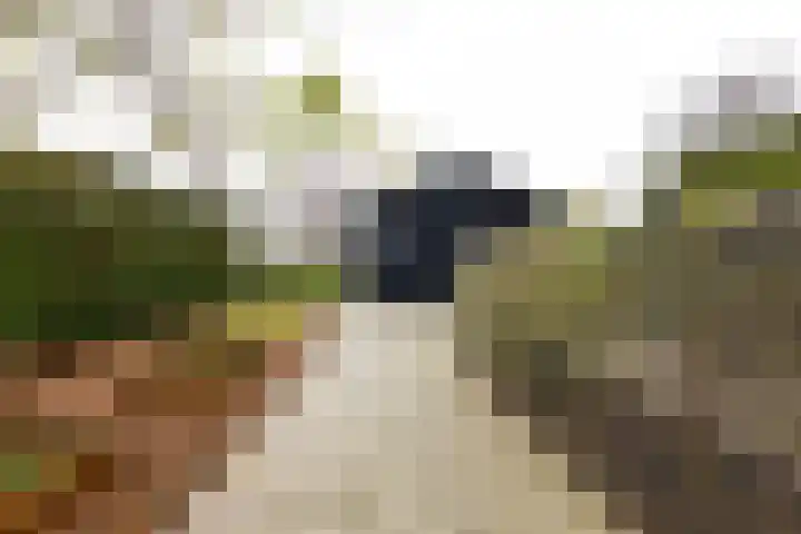Hoofdplaatseweg 4 Biervliet thumbnail 44