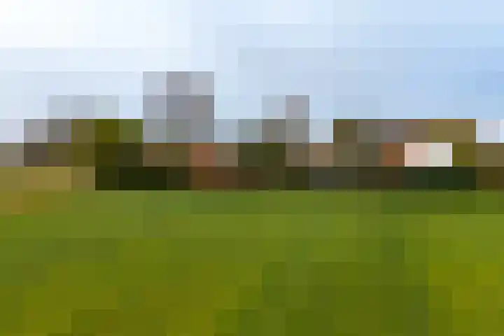 Hoofdplaatseweg 4 Biervliet thumbnail 46