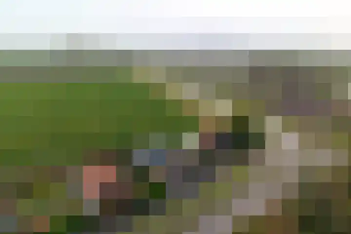 Hoofdplaatseweg 4 Biervliet thumbnail 47