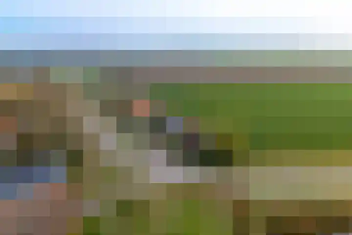 Hoofdplaatseweg 4 Biervliet thumbnail 48