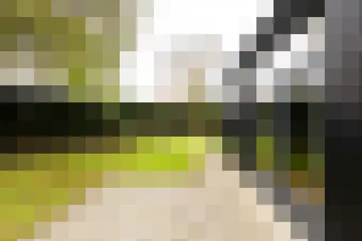 Hoofdplaatseweg 4 Biervliet thumbnail 6