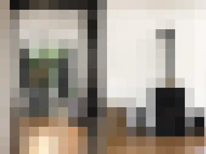 Hoofdplaatseweg 4 Biervliet thumbnail 9
