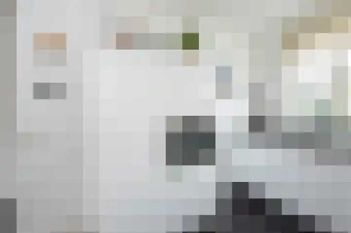 Hoofdpoortplantsoen 17 Goedereede thumbnail 14