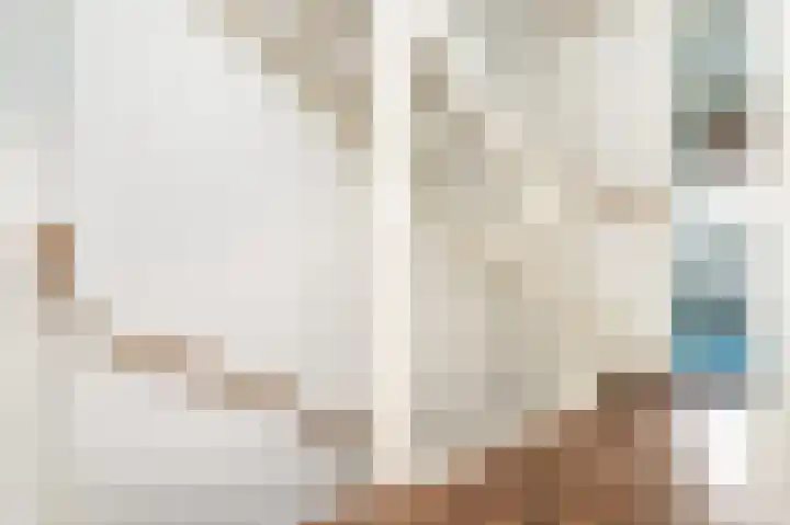 Hoofdpoortplantsoen 17 Goedereede thumbnail 16