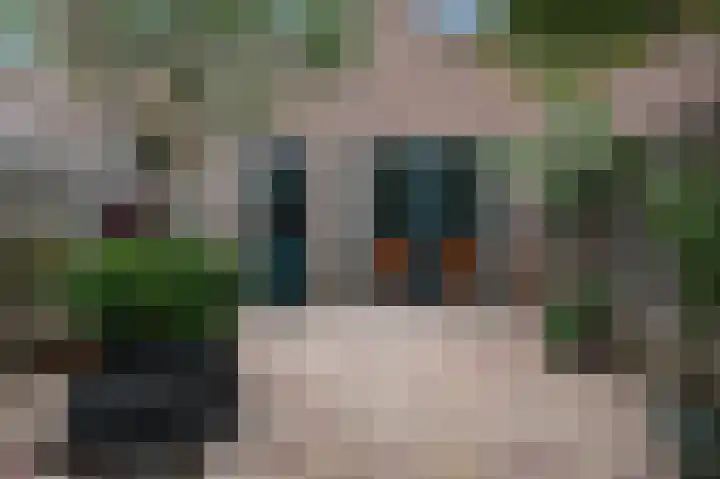 Hoofdpoortplantsoen 17 Goedereede thumbnail 30