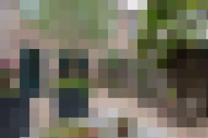 Hoofdpoortplantsoen 17 Goedereede thumbnail 31