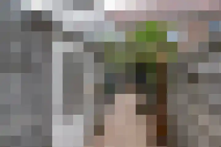 Hoofdpoortplantsoen 17 Goedereede thumbnail 33