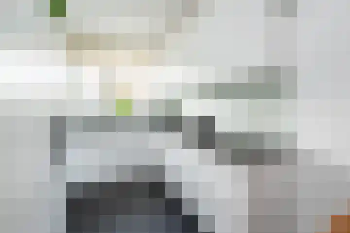 Hoofdpoortplantsoen 17 Goedereede thumbnail 4
