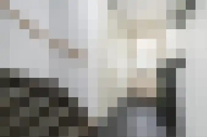 Hoofdpoortplantsoen 17 Goedereede thumbnail 6