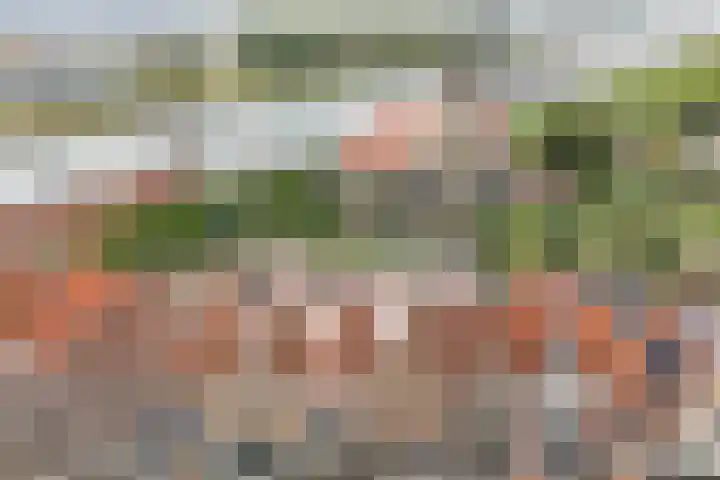 Hoofdpoortstraat 15 Zierikzee thumbnail 31