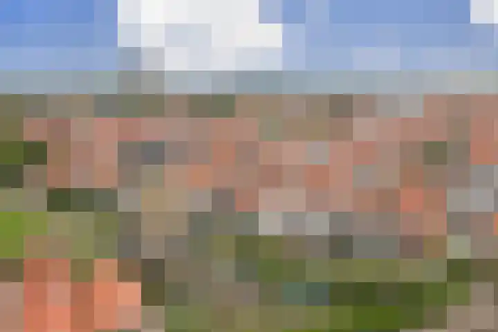 Hoofdpoortstraat 15 Zierikzee thumbnail 33