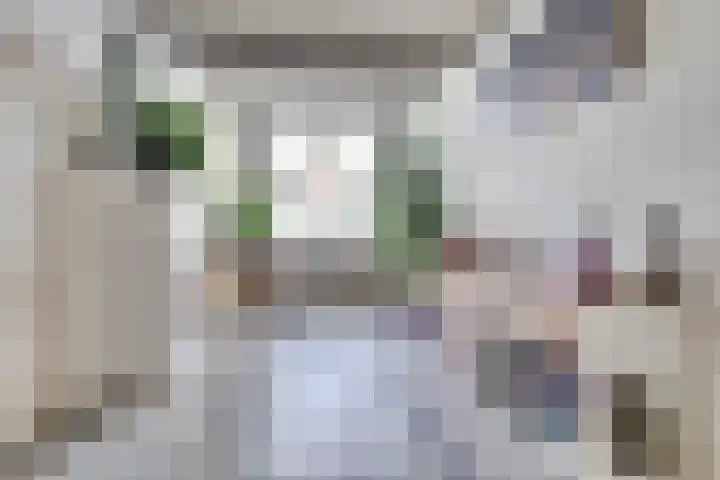 Hoofdpoortstraat 15 Zierikzee thumbnail 5