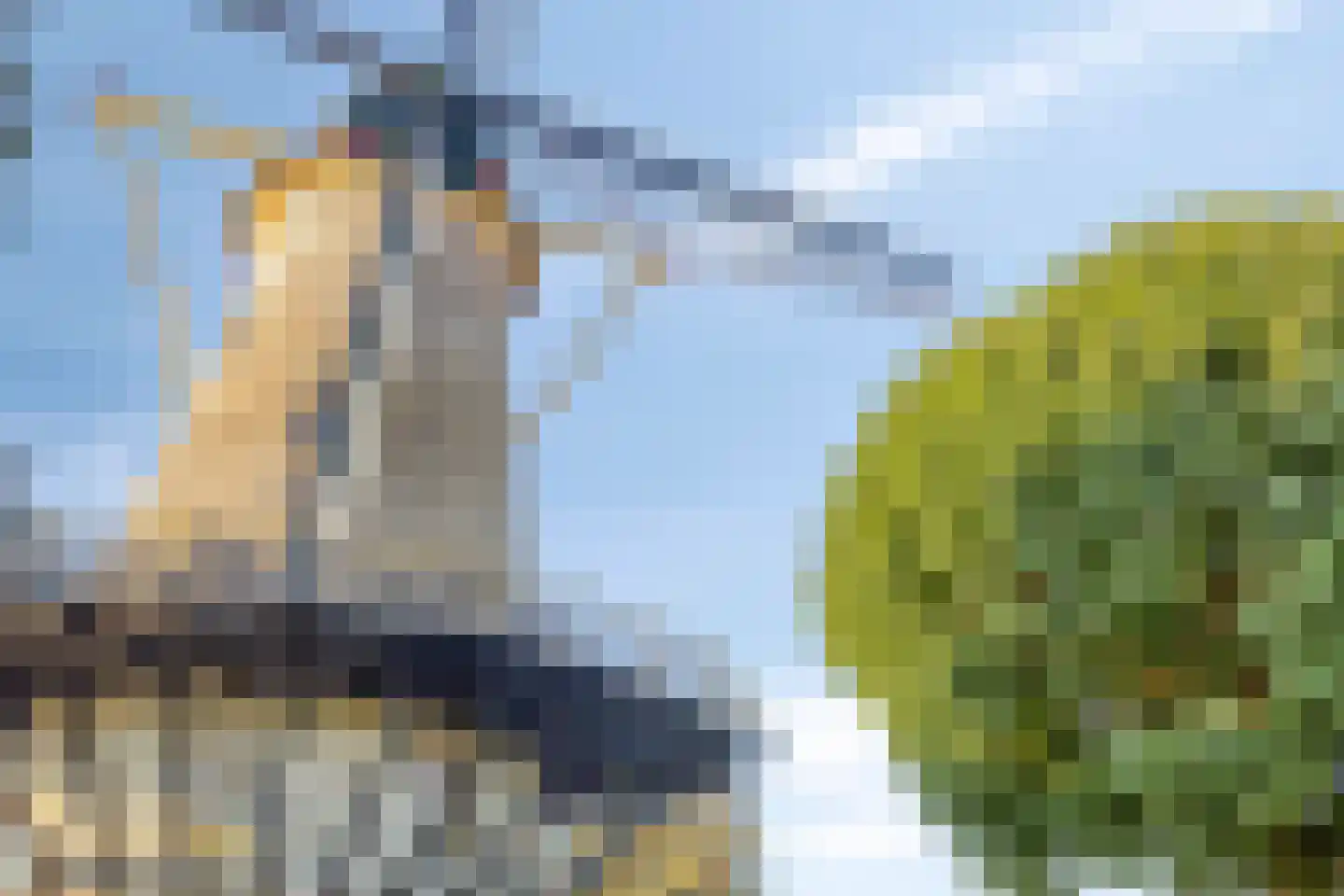 Hoofdpoortstraat 19 Zierikzee thumbnail 31