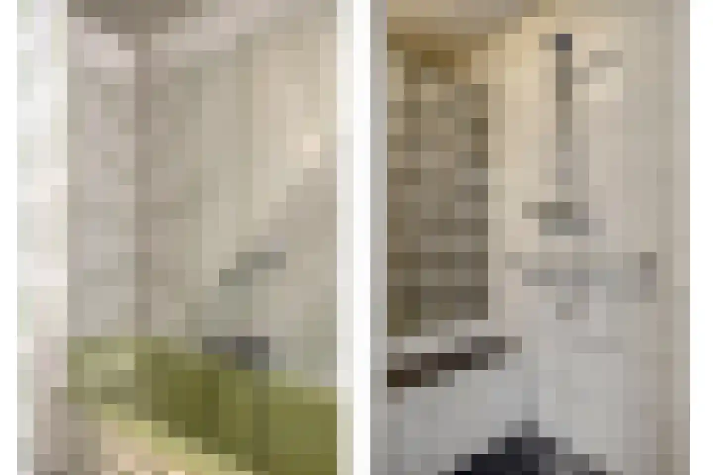 Hoofdpoortstraat 19 Zierikzee thumbnail 4