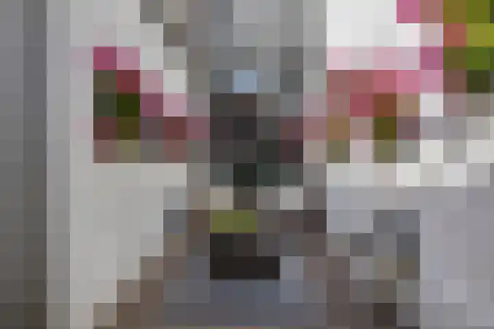 Hoofdpoortstraat 23 Zierikzee thumbnail 32