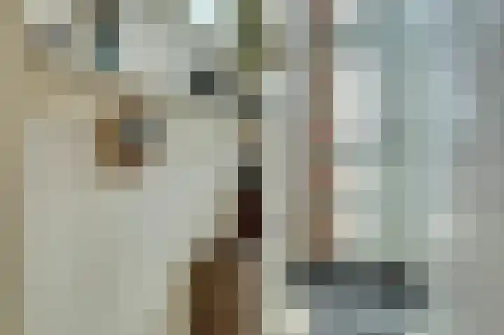 Hoofdpoortstraat 34 Zierikzee thumbnail 8