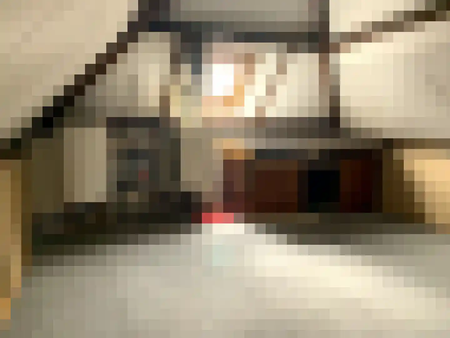 Hoofdpoortstraat 4 Zierikzee thumbnail 21