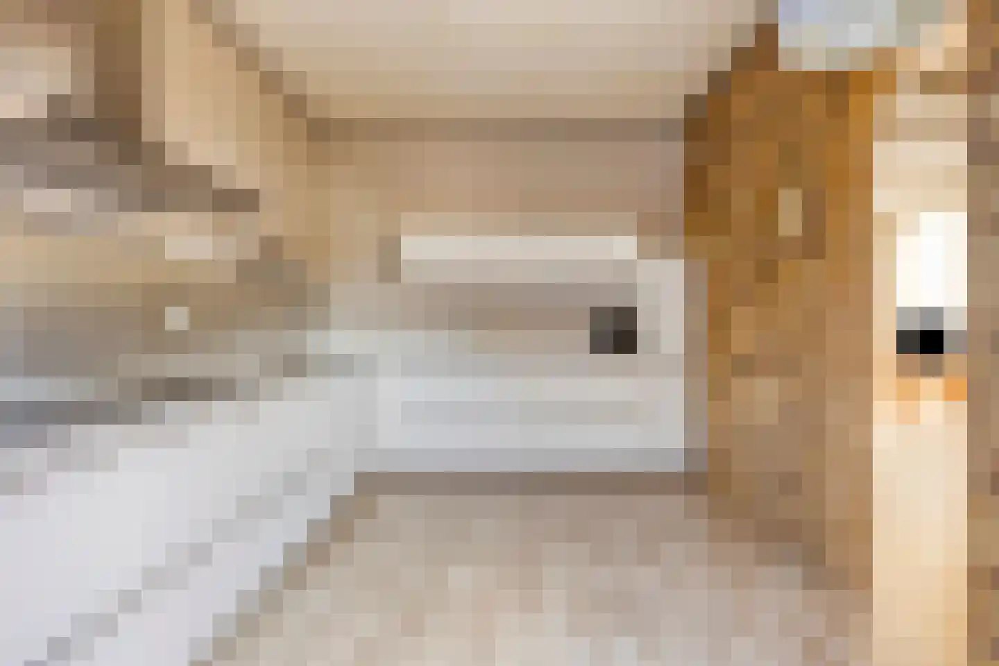 Hoofdpoortstraat 4 Zierikzee thumbnail 7