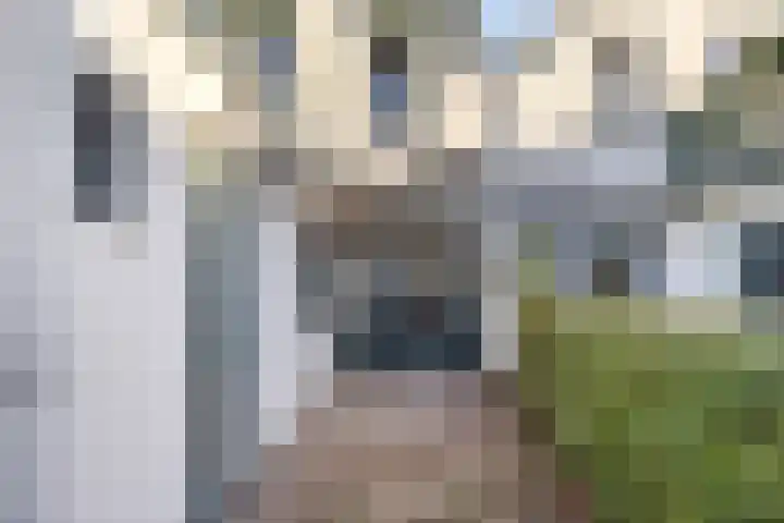 Hoofdpoortstraat 43 Zierikzee thumbnail 22
