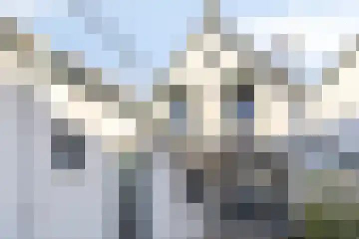 Hoofdpoortstraat 43 Zierikzee thumbnail 23